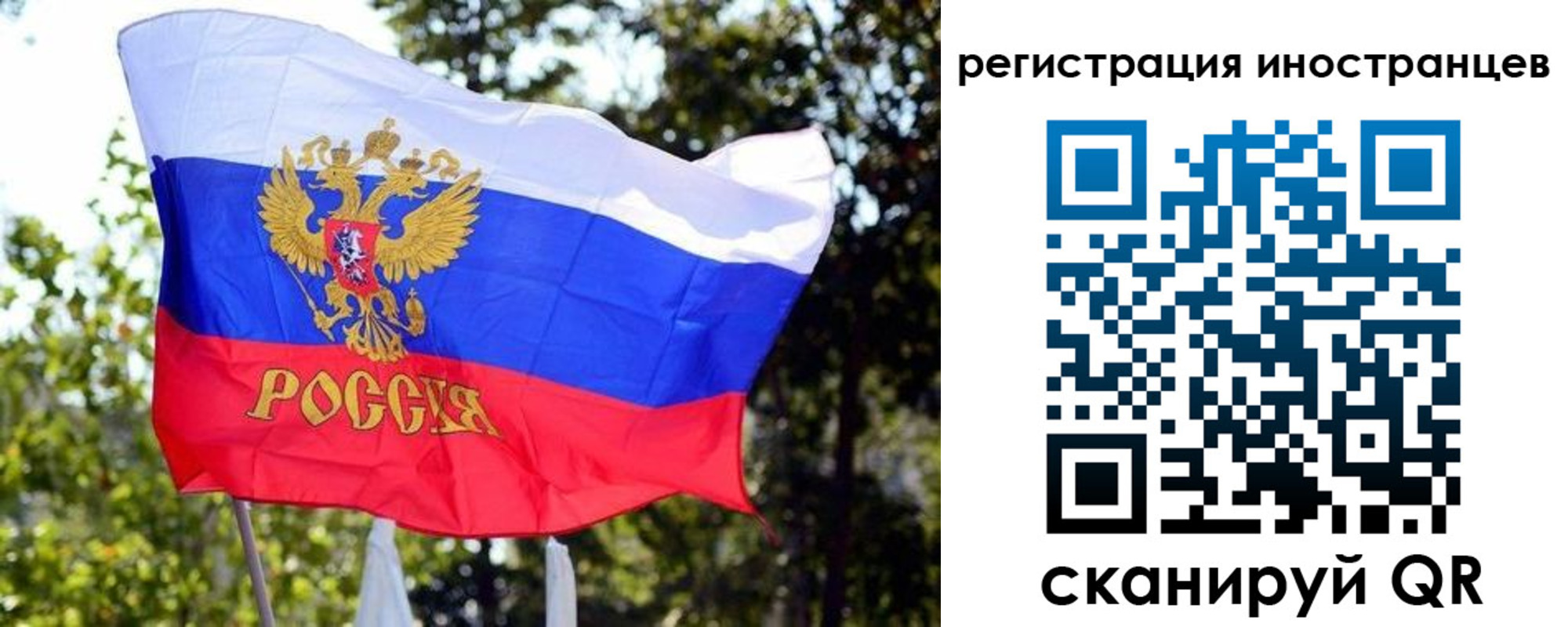 временная регистрация недорого в Луге